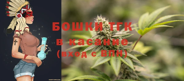 СК Зерноград