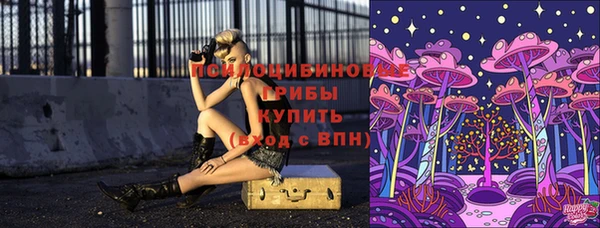 СК Зерноград