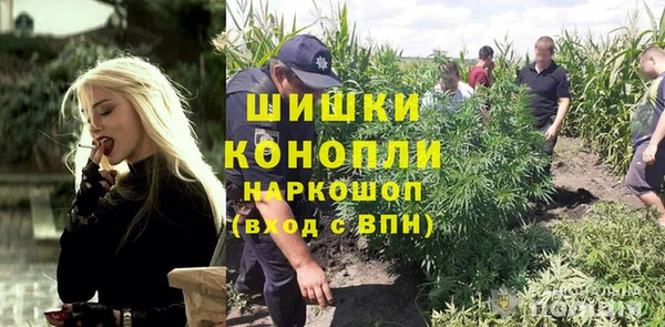 амф Зеленокумск